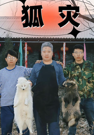 狐灾(25集) 狐灾(25集)最后的大结局