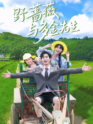 野蔷薇与多金先生(63集) 野蔷薇与多金先生(63集)去哪里看