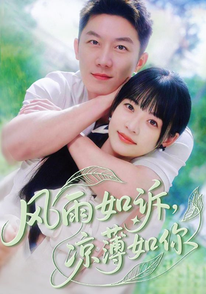 风雨如诉凉薄如你(70集) 风雨如诉凉薄如你(70集)热门短剧追不停