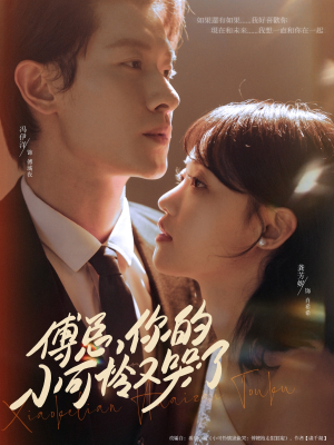 傅总你的小可怜又哭了(80集) 傅总你的小可怜又哭了(80集)推荐热门短剧