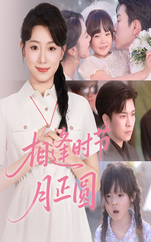 相逢时节月正圆（54集）全剧看到大结局
