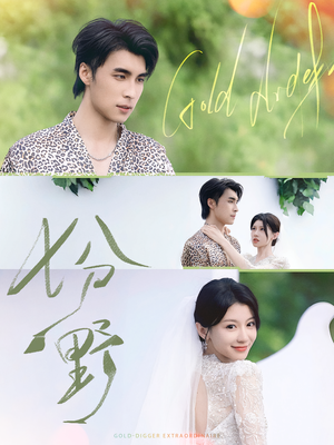 七分野(78集) 七分野(78集)全集