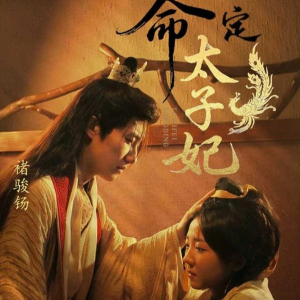 命定太子妃(63集) 命定太子妃(63集)第二季