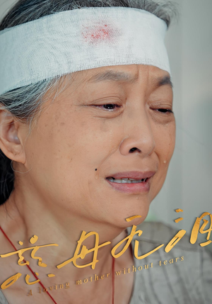 慈母无泪(30集) 慈母无泪(30集)短剧分享片段