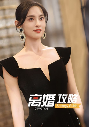 离婚攻略(53集) 离婚攻略(53集)高清画质免费看