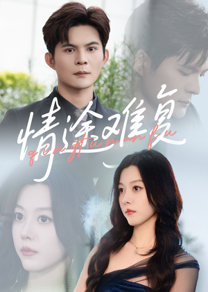 情途难复（50集）去哪里看