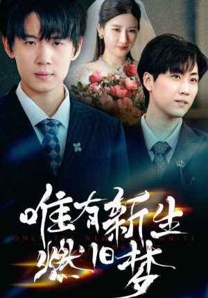 唯有新生燃旧梦(55集) 唯有新生燃旧梦(55集)1-102集