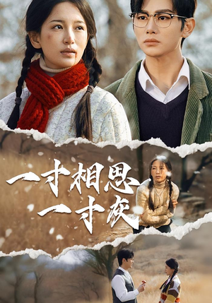 一寸相思一寸灰（43集）一起追生活短剧