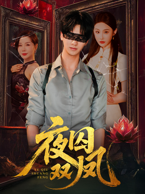 夜囚双凤(46集) 夜囚双凤(46集)爱上了这部剧了