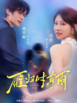 雁归时有雨(84集) 雁归时有雨(84集)大结局太过瘾了