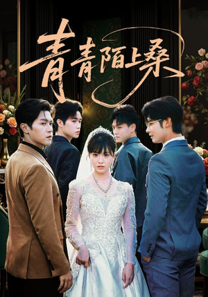 青青陌上桑(70集) 青青陌上桑(70集)口碑爆棚免费看