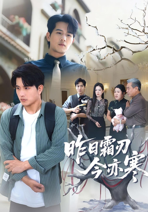 昨日霜刃今亦寒（80集）在线播放