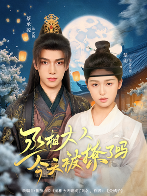 丞相大人今天被撩了吗(80集) 丞相大人今天被撩了吗(80集)精彩短剧推荐