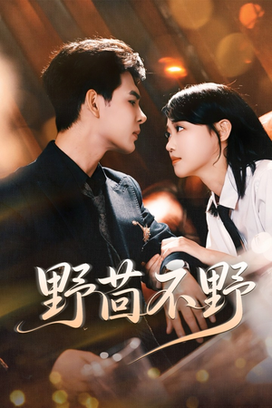 野茴不野(67集) 野茴不野(67集)河马免费短剧