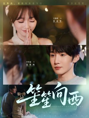 笙笙向西（75集）看过的人都说好