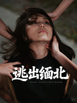 逃出缅北(62集) 逃出缅北(62集)大结局
