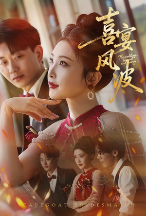 喜宴风波&替罪伴娘（30集）分享好看的短剧