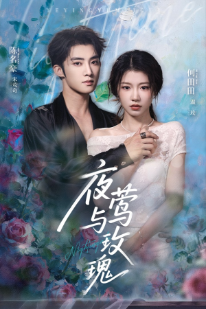 夜莺与玫瑰（66集）一起追短剧吧