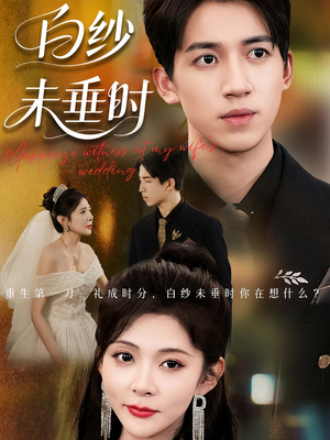 老婆婚礼，我当证婚人&老婆婚礼我当证婚人&白纱未垂时（54集）百度在线观看