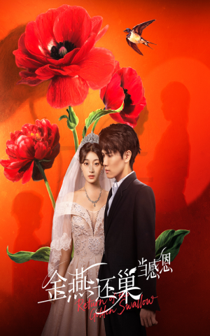 金燕还巢当感恩（55集）短剧热门推荐