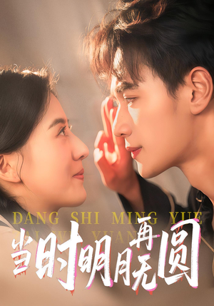 当时明月再无圆（41集）免费看全集