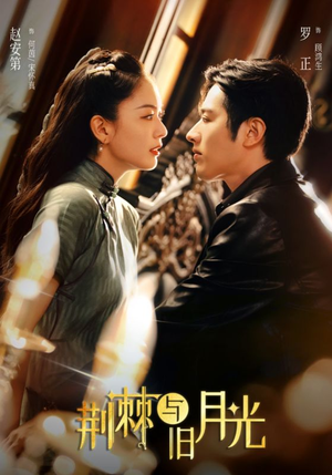 荆棘与旧月光(80集) 荆棘与旧月光(80集)每日短剧推荐