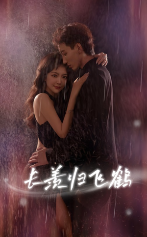 长羡归飞鹤 (70集) 长羡归飞鹤 (70集)全网独播免费看