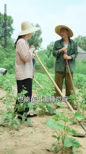 老太重生带全家吃饱穿暖(74集) 老太重生带全家吃饱穿暖(74集)免费全集短剧