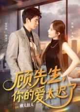顾先生你的爱太迟了(60集) 顾先生你的爱太迟了(60集)分享好看的短剧
