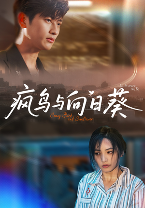 疯鸟与向日葵(40集) 疯鸟与向日葵(40集)好看的短剧分享