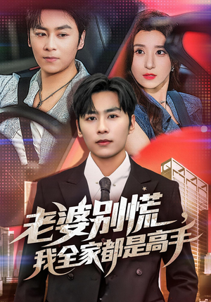 婆别慌我全家都是高手（58集）推荐热门短剧