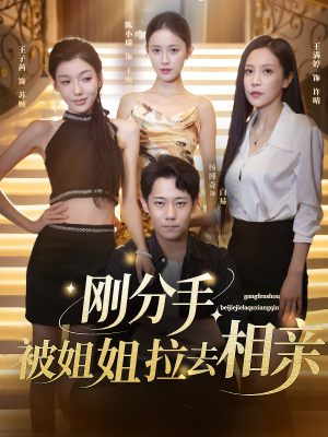 刚分手被姐姐拉去相亲（73集）全剧看到大结局