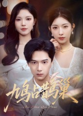 鸠占鹊巢&顶流夫人的致命陷阱(70集) 鸠占鹊巢&顶流夫人的致命陷阱(70集)直接看到大结局