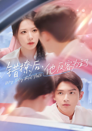 错撩后他反客为主了(72集) 错撩后他反客为主了(72集)1-102集