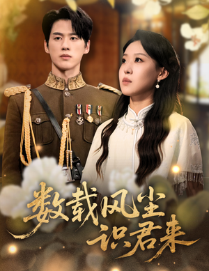 数载风尘识君来（62集）免费观看就是爽