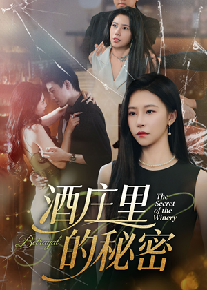 酒庄里的秘密(54集) 酒庄里的秘密(54集)经典回顾免费看