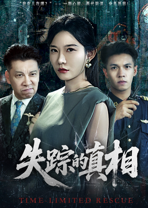 失踪的真相 （51集）剧情简介