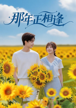 那年正相逢(60集) 那年正相逢(60集)爆款短剧追不停