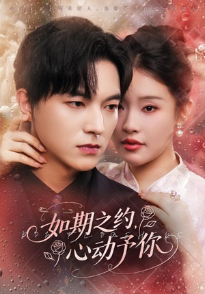 如期之约心动予你(82集) 如期之约心动予你(82集)好看吗