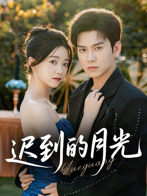 迟到的月光(80集) 迟到的月光(80集)无需会员轻松看