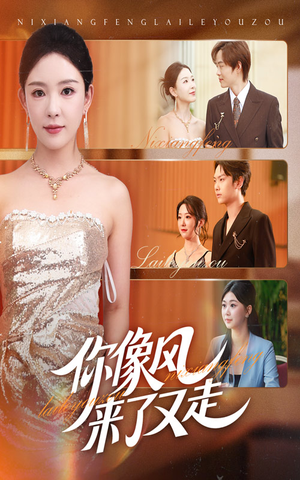 你像风来了又走(59集) 你像风来了又走(59集)好看短剧追不停
