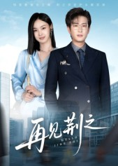 再见荆之(60集) 再见荆之(60集)在哪里看