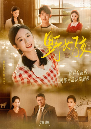 野女孩（91集）集免费看短剧