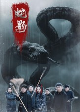 蛇影(25集) 蛇影(25集)全集下载