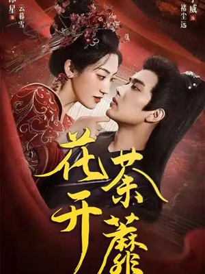 花开荼蘼(88集) 花开荼蘼(88集)一共多少集