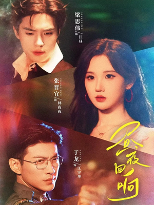 昼夜回响(76集) 昼夜回响(76集)在线看完整版