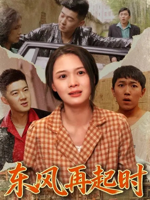 东风再起时(112集) 东风再起时(112集)热播短剧抢先看