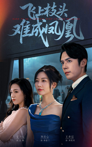 飞上枝头难成凤凰（47集）口碑爆棚免费看