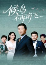 候鸟不再南飞(80集) 候鸟不再南飞(80集)快来看短剧