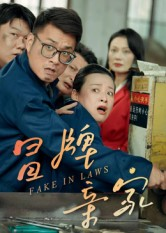 冒牌亲家(30集) 冒牌亲家(30集)解说文案